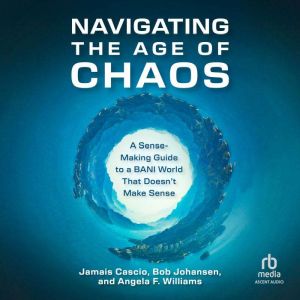 Navigating the Age of Chaos: A Sense-Making Guide to a BANI World That Doesn't Make Sense