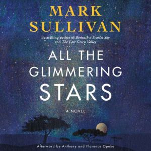All the Glimmering Stars: A Novel