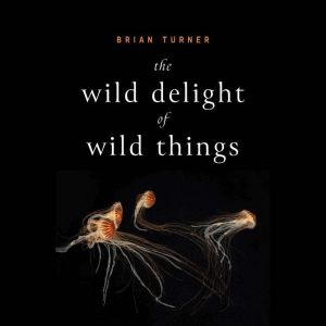 The Wild Delight of Wild Things