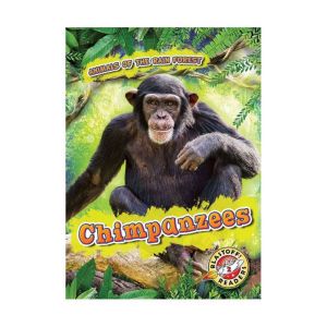 Chimpanzees, Rachel Grack