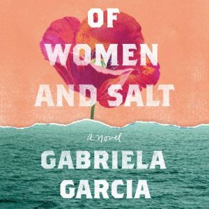 Of Women and Salt, Gabriela Garcia