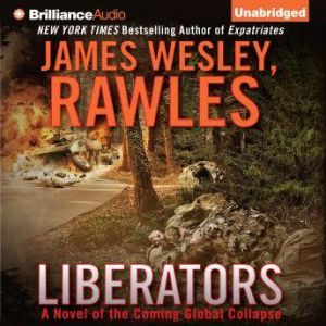 Liberators A Novel of the Coming Global Collapse, James Wesley, Rawles