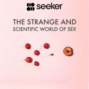 The Strange and Scientific World of S..., Seeker