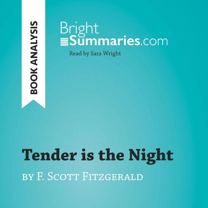 Tender is the Night by F. Scott Fitzg..., Bright Summaries
