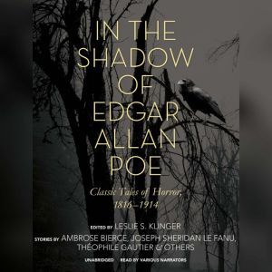 In the Shadow of Edgar Allan Poe, Unknown