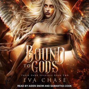 Bound to Gods: A Reverse Harem Urban Fantasy, Eva Chase