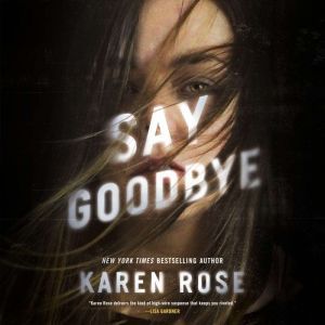 Say Goodbye, Karen Rose