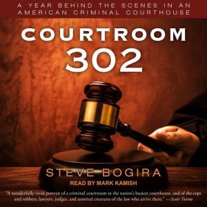 Courtroom 302, Steve Bogira