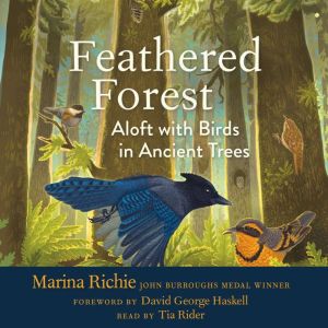 Feathered Forest, Marina Richie