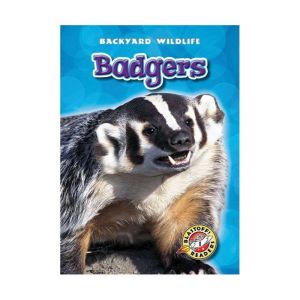 Badgers, Derek Zobel