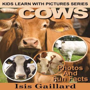 Cows, Isis Gaillard