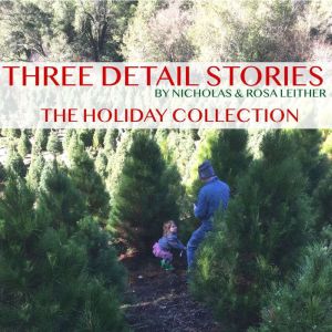 Three Detail Stories: The Holiday Collection