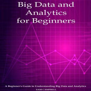Big Data and Analytics  for Beginners: A Beginner's Guide to Understanding Big Data and Analytics