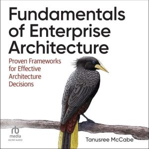 Fundamentals of Enterprise Architecture: Proven Frameworks for Effective Architecture Decisions