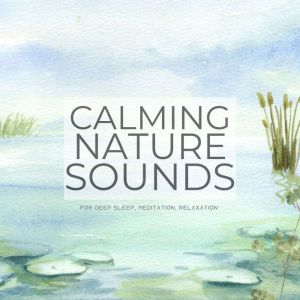 Calming Nature Sounds (Without Music) for Deep Sleep, Meditation, Relaxation: Gentle rain, warm springs, a songbird concert, c