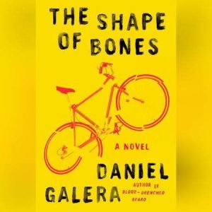 The Shape of Bones, Daniel Galera