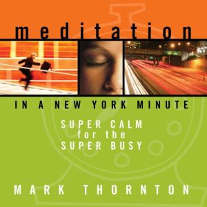Meditation in a New York Minute, Mark Thornton