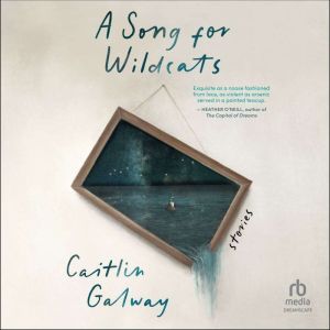 A Song for Wildcats: Stories