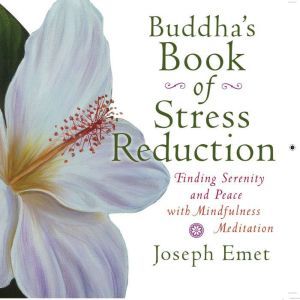 Buddhas Book of Stress Reduction, Joseph Emet