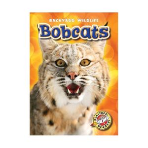 Bobcats