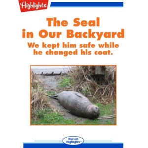 The Seal in Our Backyard, Andrea Lawson