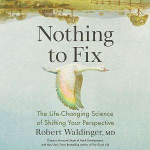 Nothing to Fix, Robert Waldinger, MD