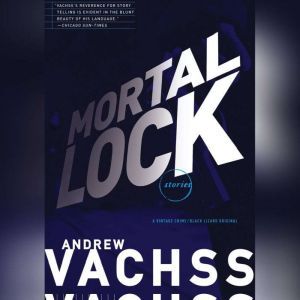 Mortal Lock, Andrew Vachss