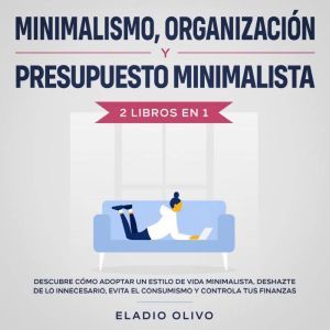 Minimalismo, organizacion y presupues..., Eladio Olivo