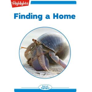Finding a Home, Cindy Born
