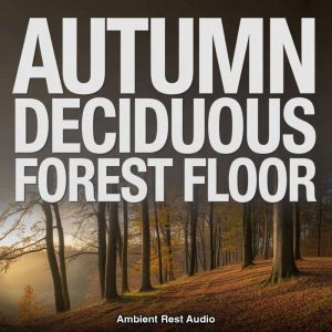 Autumn Deciduous Forest Floor, Ambient Rest Audio