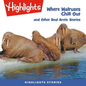 Where Walruses Chill Out, Highlights for Children