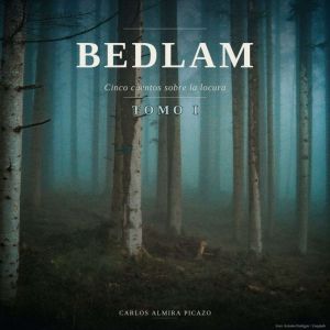 Bedlam tomo I, Carlos Almira Picazo